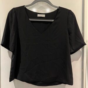 Aritzia Babaton Loose Fit V Neck